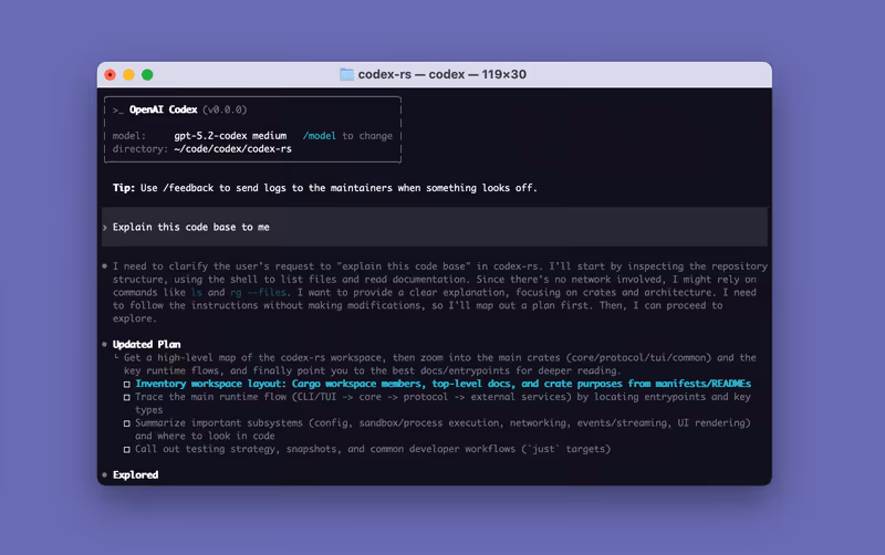 Codex CLI splash screen in a terminal