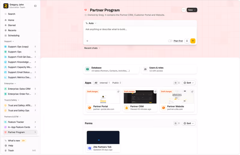 Zite workspace home with database, users and roles, apps, forms